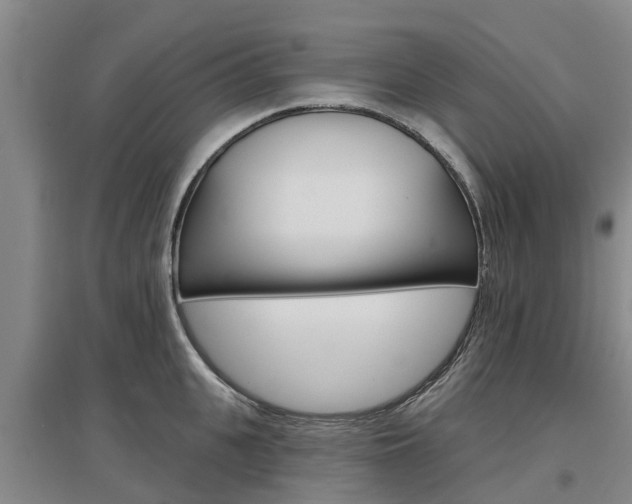 X0000097470951200802220826