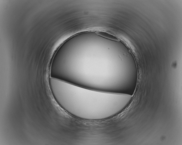 X0000097470952200802220826