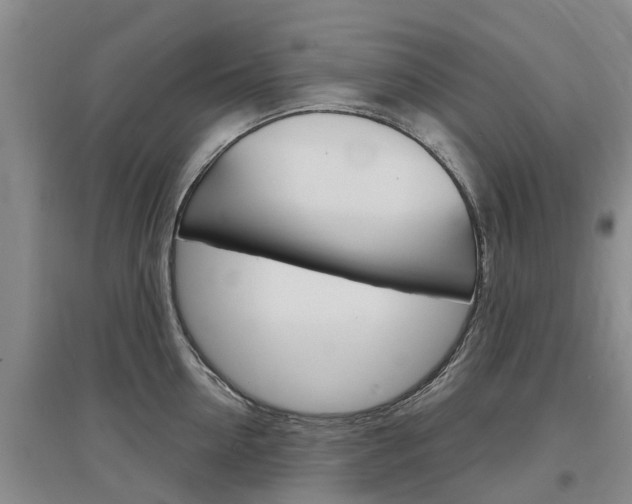 X0000097470954200802220826