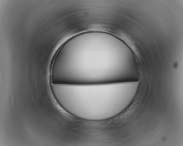 X0000097470955200802220826