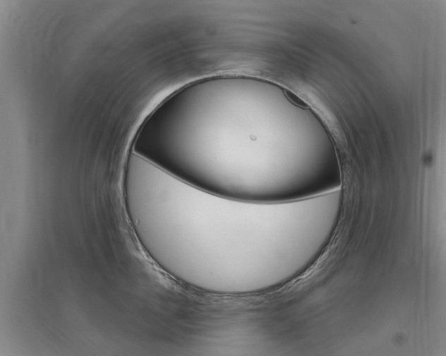 X0000097470956200802220826