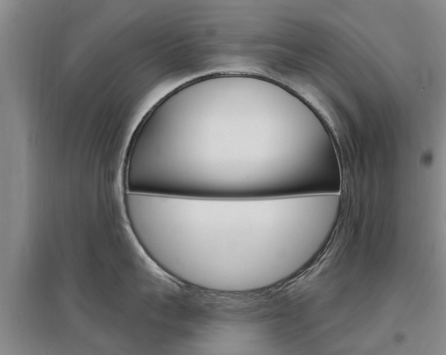 X0000097470959200802220826