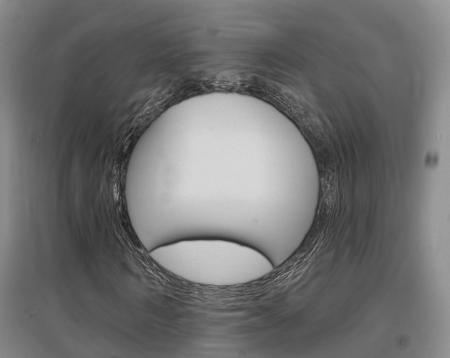 X0000097470962200802220825