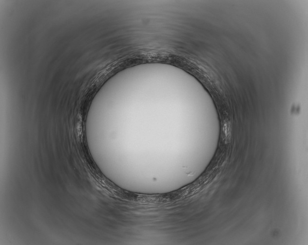 X0000097470963200802220825