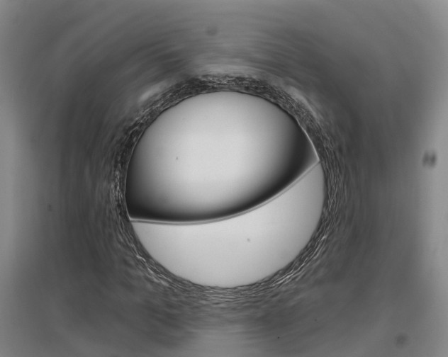 X0000097470965200802220825