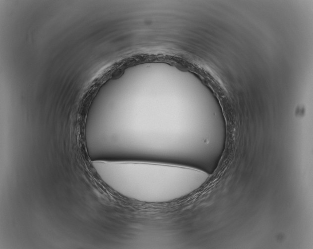 X0000097470968200802220825