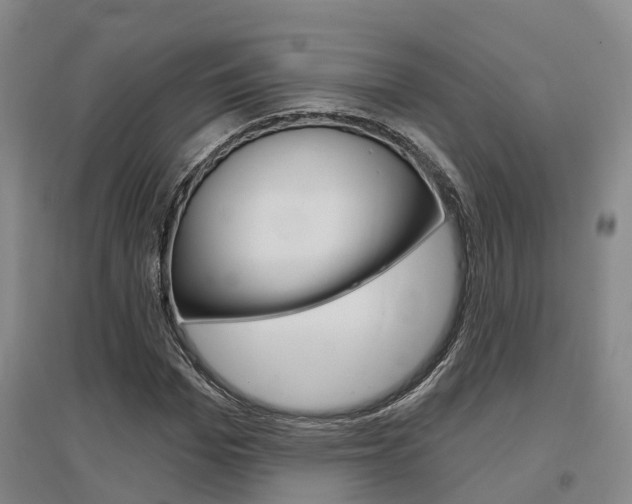 X0000097470969200802220825