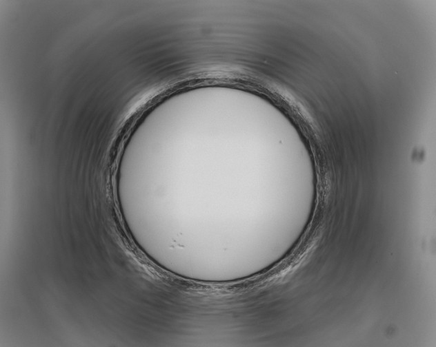 X0000097470970200802220825