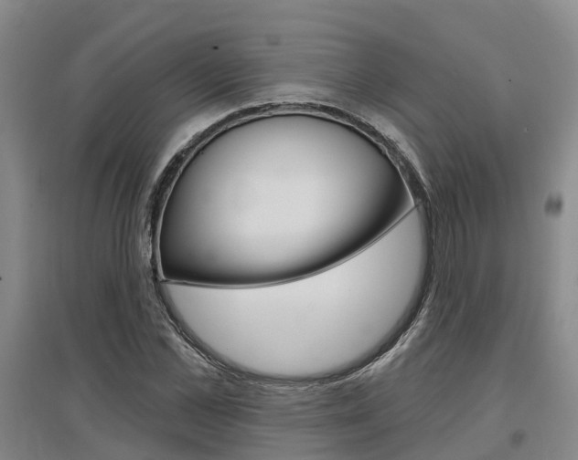 X0000097470973200802220825
