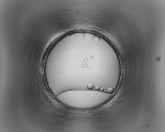 X0000097470974200802220825