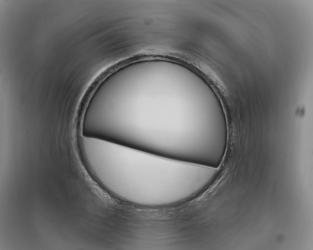 X0000097470976200802220825