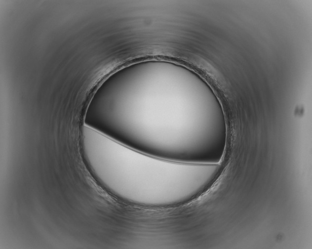 X0000097470977200802220825