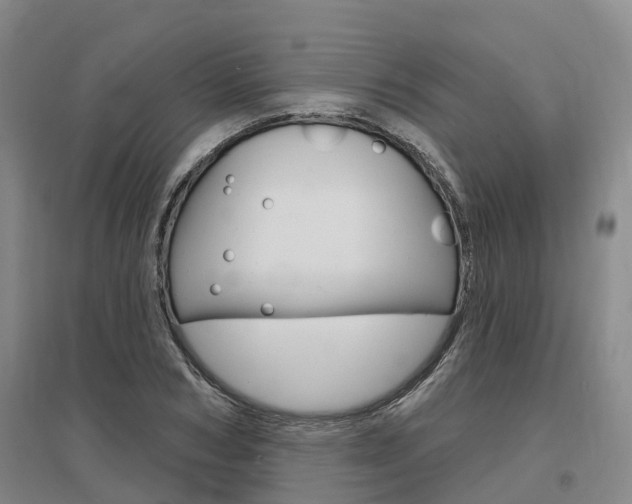 X0000097470978200802220825