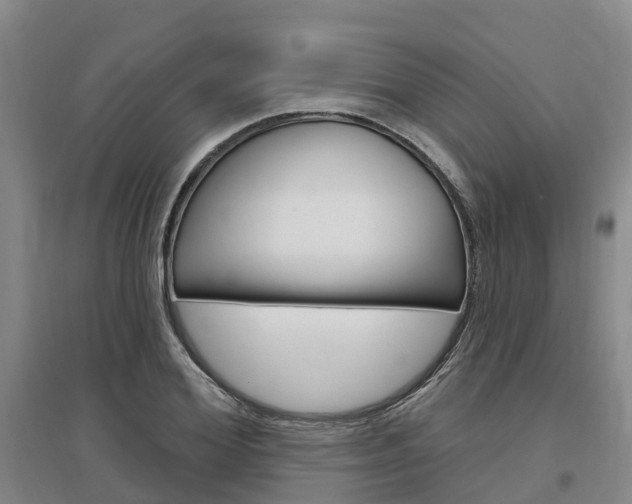 X0000097470980200802220825