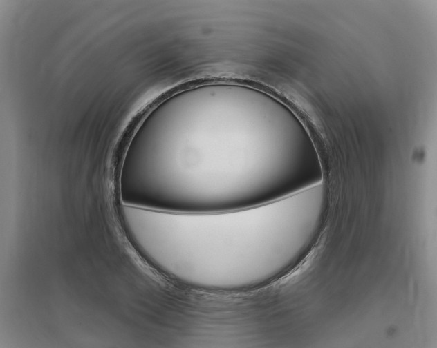 X0000097470981200802220825