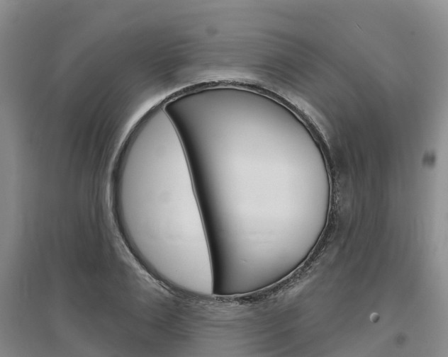 X0000097470983200802220825