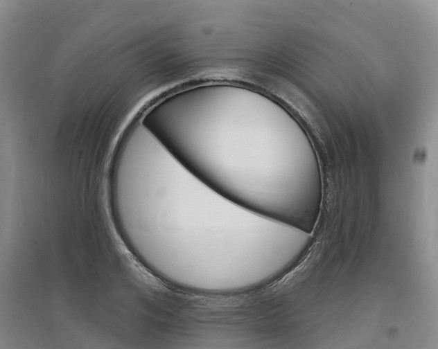 X0000097470984200802220825