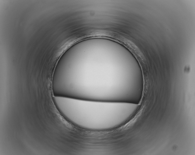 X0000097470985200802220825