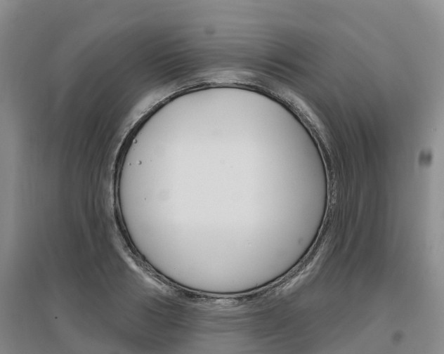 X0000097470986200802220825