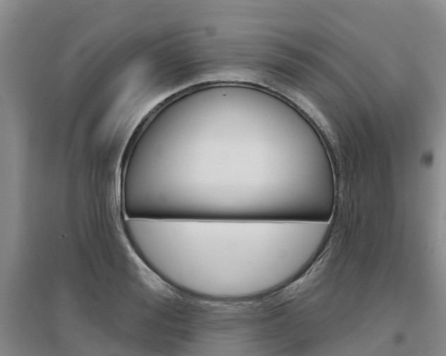 X0000097470988200802220825