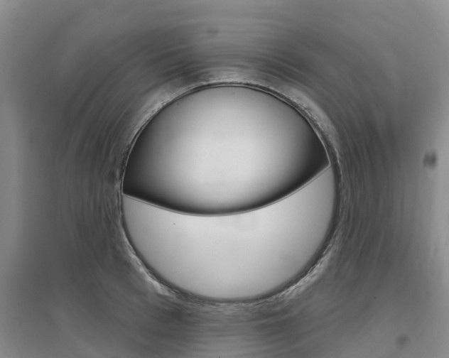 X0000097470993200802220825