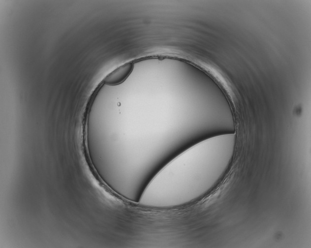 X0000097470999200802220825