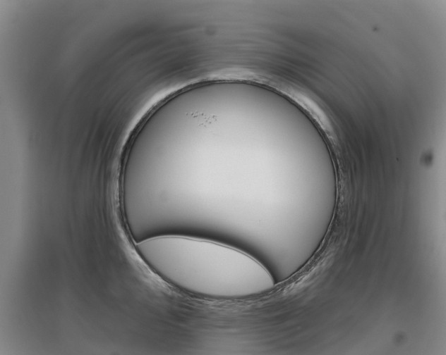 X0000097471000200802220825