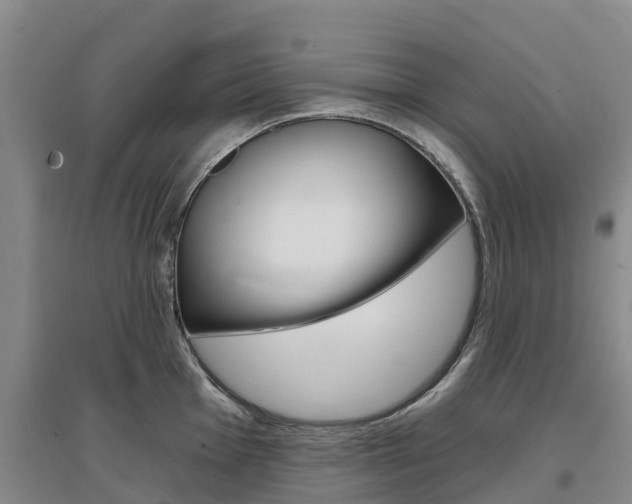 X0000097471001200802220825
