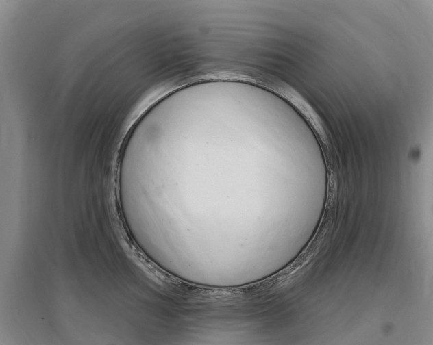 X0000097471002200802220825