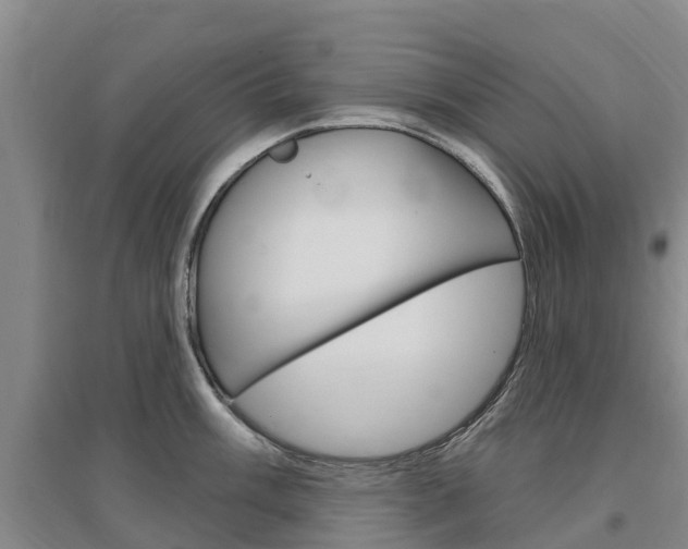 X0000097471003200802220825