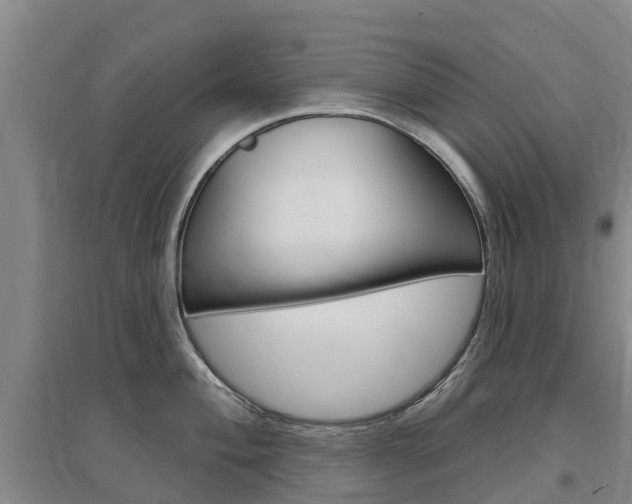 X0000097471004200802220825