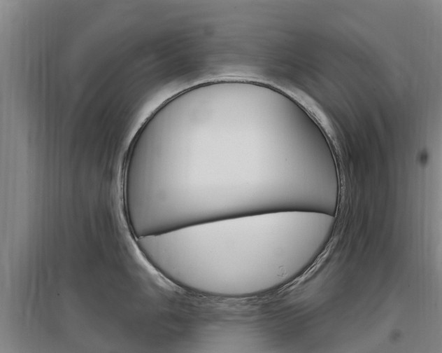 X0000097471006200802220825