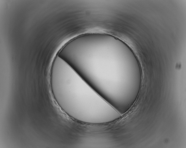 X0000097471008200802220825