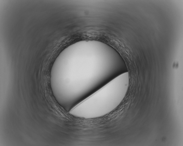 X0000097471009200802220824