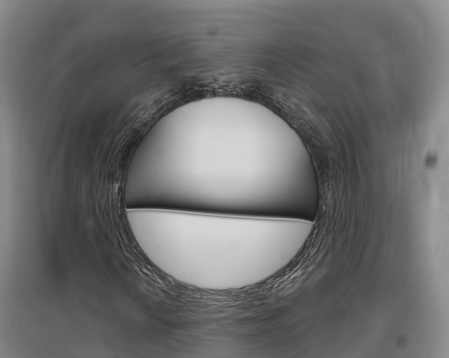 X0000097471010200802220824