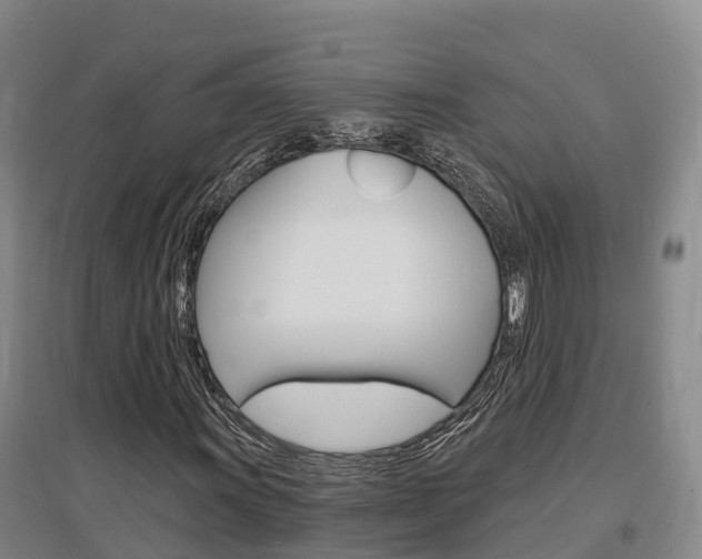 X0000097471011200802220824