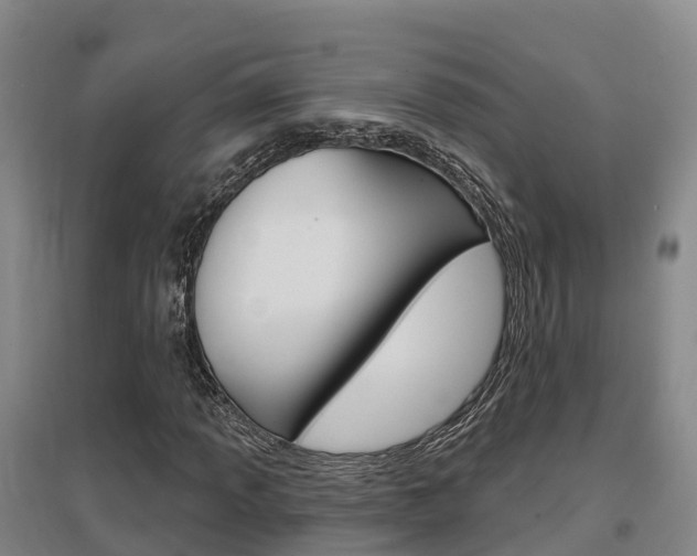 X0000097471013200802220824