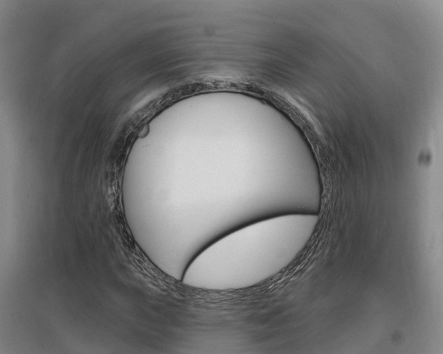 X0000097471015200802220824