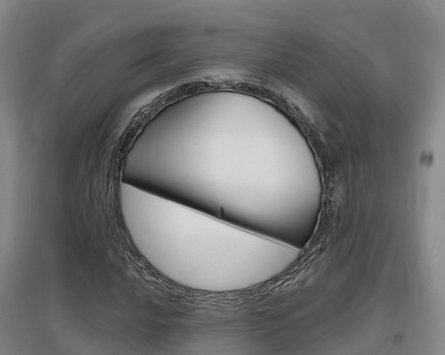 X0000097471016200802220824