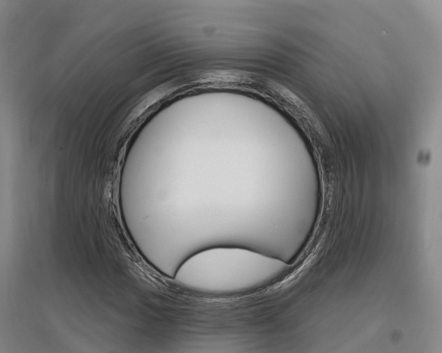X0000097471017200802220824