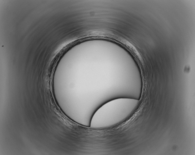 X0000097471019200802220824