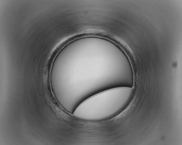 X0000097471021200802220824
