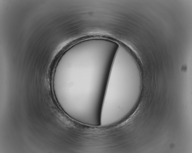 X0000097471022200802220824
