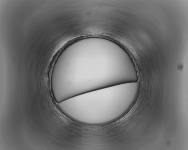 X0000097471023200802220824