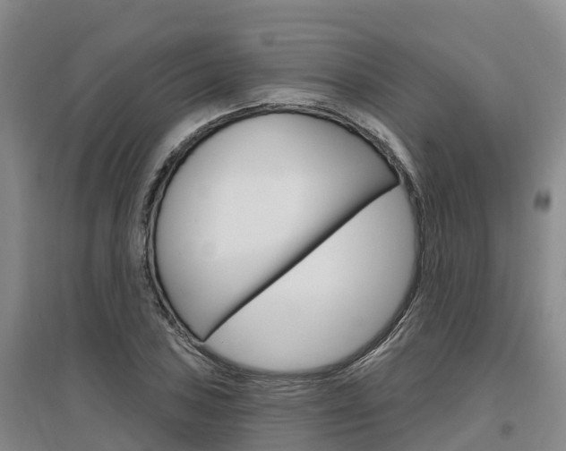 X0000097471027200802220824