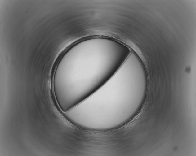 X0000097471028200802220824