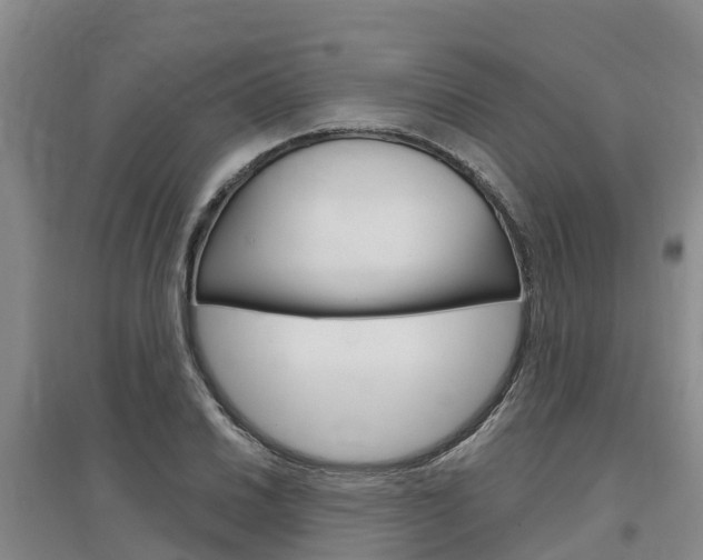 X0000097471030200802220824