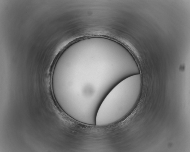 X0000097471031200802220824