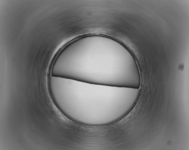 X0000097471032200802220824