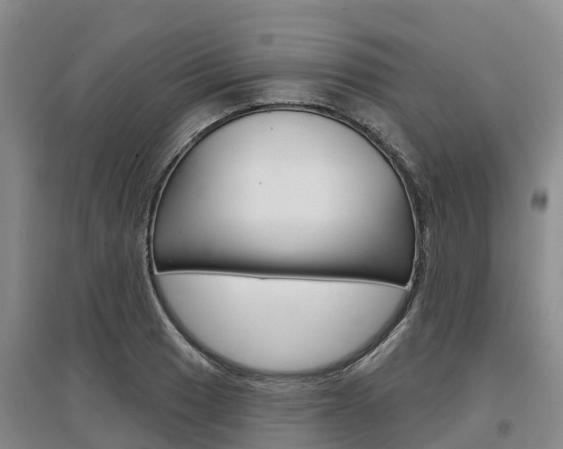 X0000097471033200802220824
